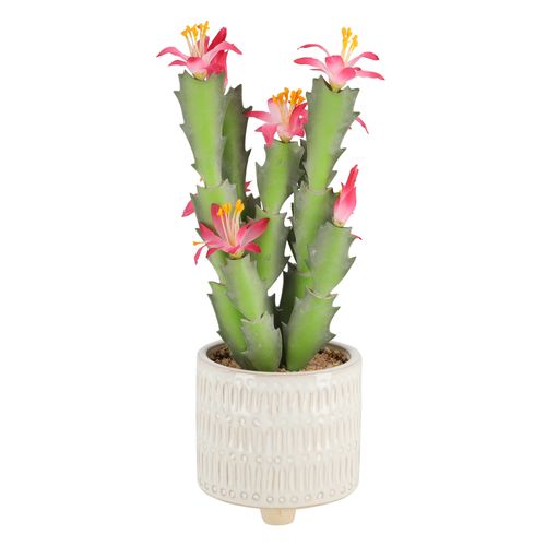 Maceta Cactus Diseño 15 x 32 cm