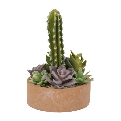 Maceta Cactus Diseño Cerámica 16 x 13 cm