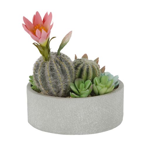 Maceta Cactus Diseño Cerámica 16 x 16 cm