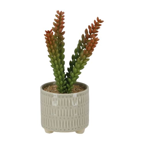 Maceta Cactus Diseño Cerámica Ø 10,5 x 26 cm