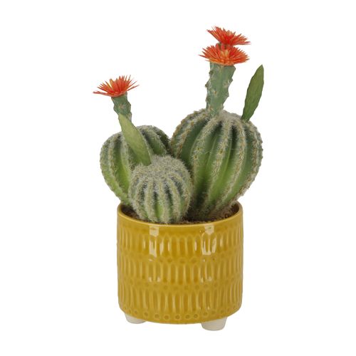 Maceta Cactus Diseño Cerámica Ø 10,5 x 25 cm