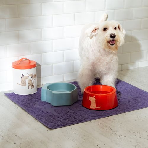 Plato para Mascota de Melanina