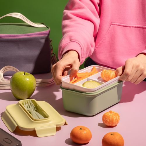 Contenedor de Alimentos