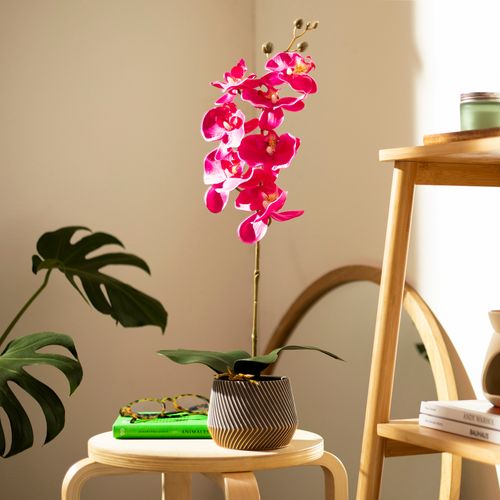 Maceta Flor Alta
