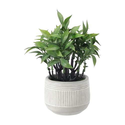 Maceta con Planta de Concreto