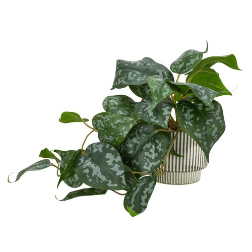 Maceta Planta Emboss Cerámica
