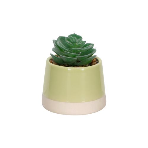 Maceta Cactus Duo