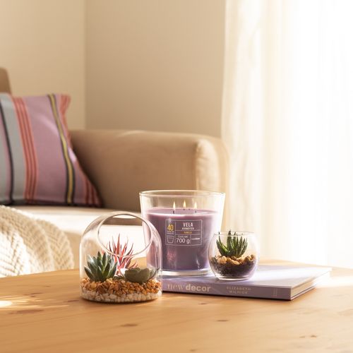 Maceta Cactus Vidrio