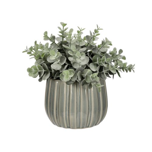 Maceta con Planta Ceramica
