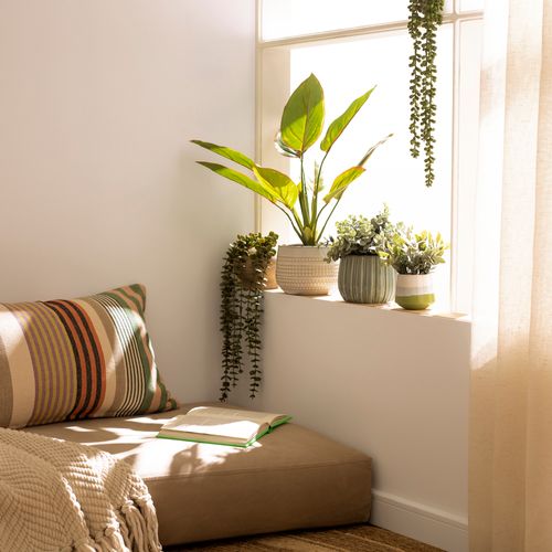 Maceta con Planta Ceramica