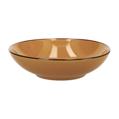 Plato de Sopa rustico