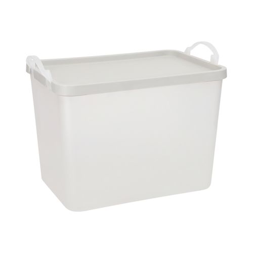 Caja con Tapa Plástica Caja con Tapa Plastica