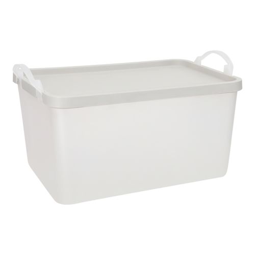 Caja Plástica con Tapa
