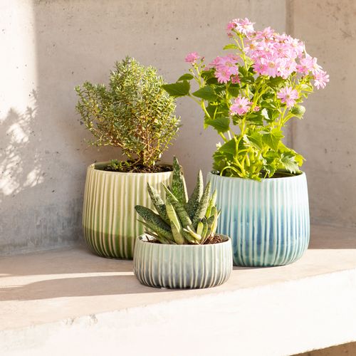 Maceta Textura Color de Cerámica