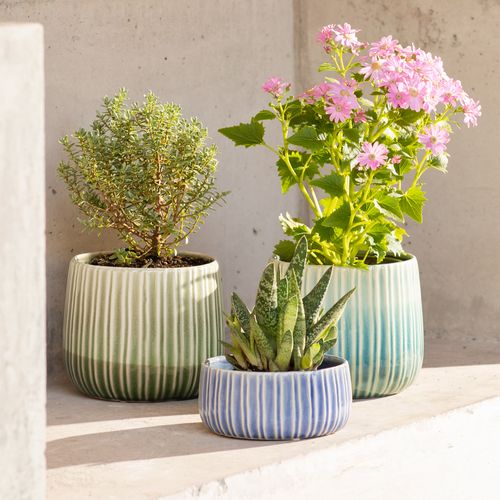 Maceta Textura Color de Cerámica