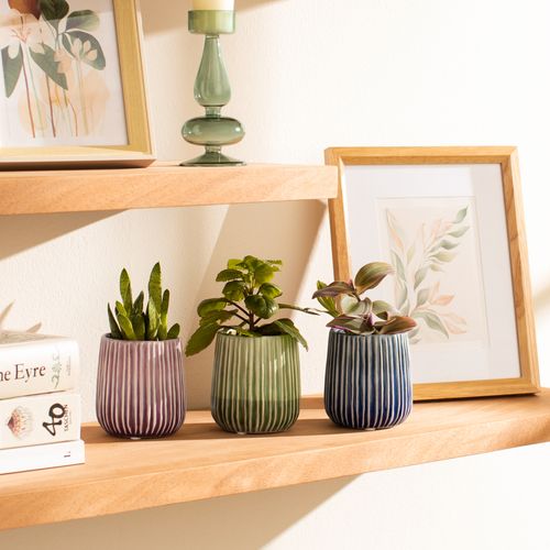 Maceta Textura de Cerámica