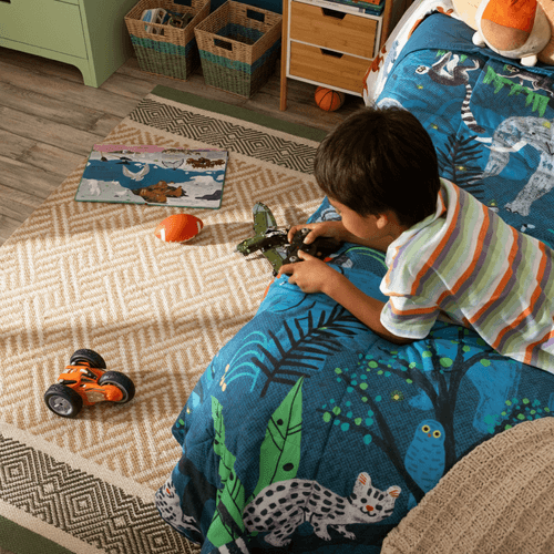 Auto Acrobacias con Control Remoto