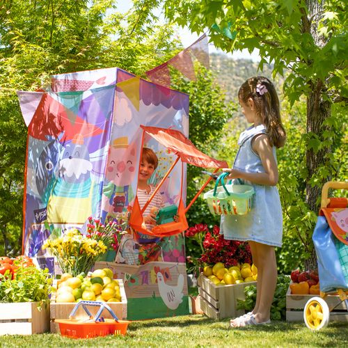 Carpa Mercadito Infantil