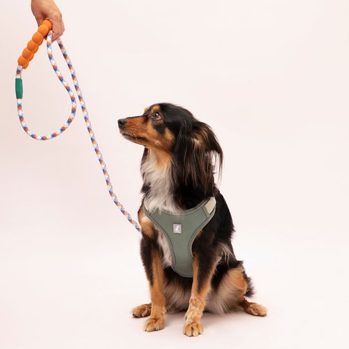 Correa Color para Mascota Tejida