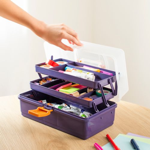 Caja Organizadora con Bandejas