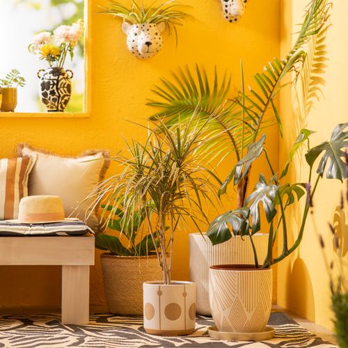 Maceta Texturizada de Ceramica