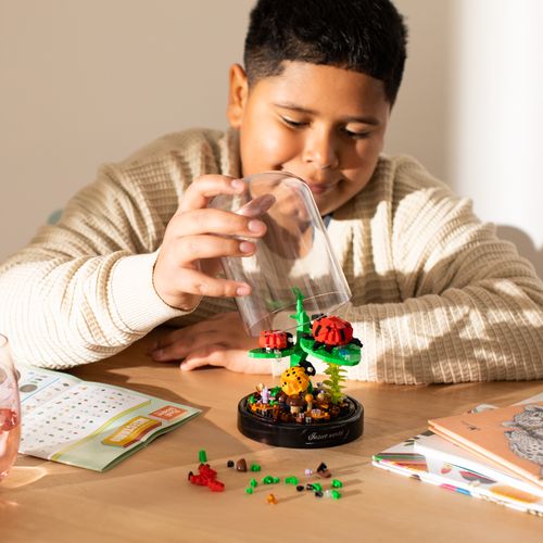 Armable domo con insectos