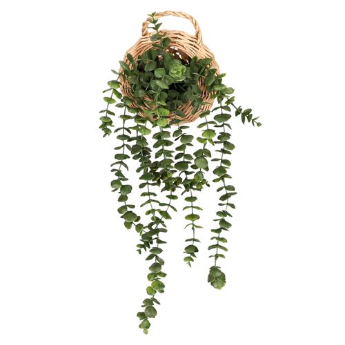 Maceta Suculenta Colgante de Fibra