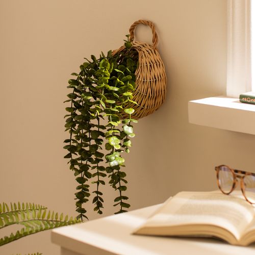 Maceta Suculenta Colgante de Fibra