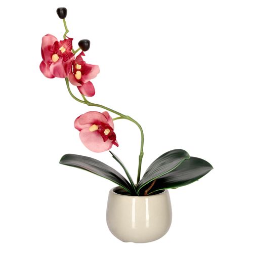 Maceta Flor Orquídea S