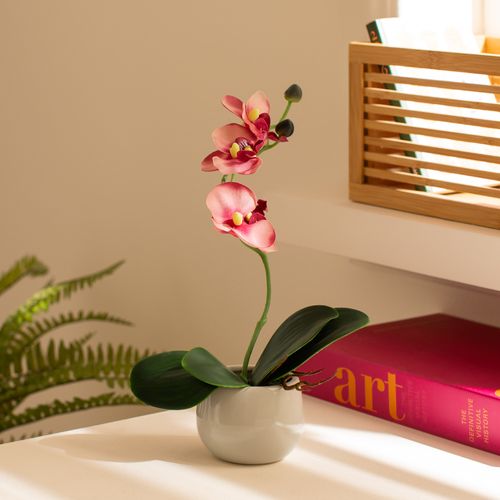 Maceta Flor Orquídea S