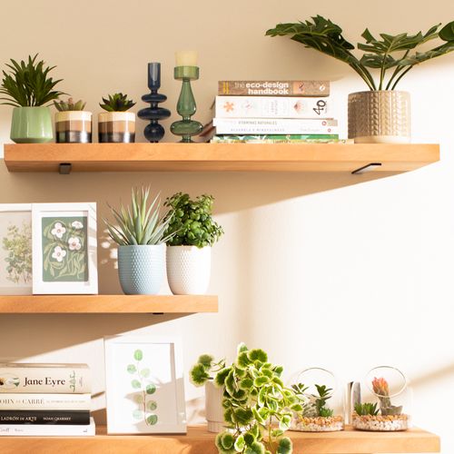 Maceta Con cactus De vidrio