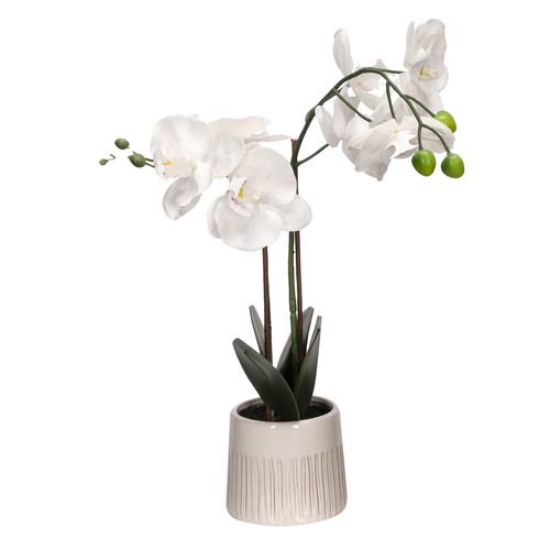 Maceta Con flor orquidea