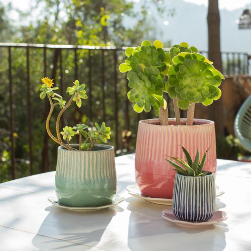 Plato para Maceta con Diseño Flor de Cerámica