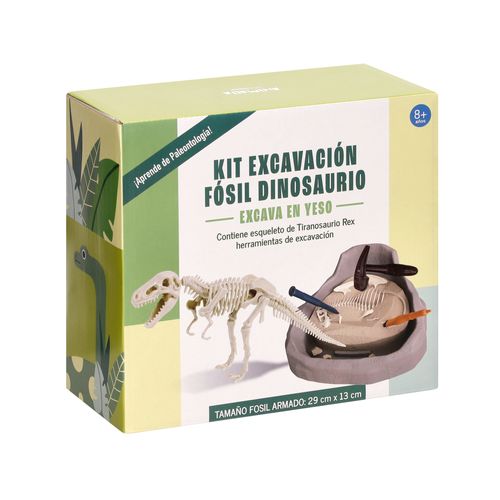 Kit Excavación Fósil de Dinosaurio