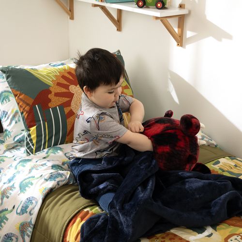 Cojin de Peluche con Manta