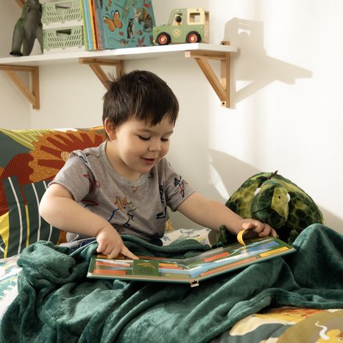 Cojin de Peluche con Manta