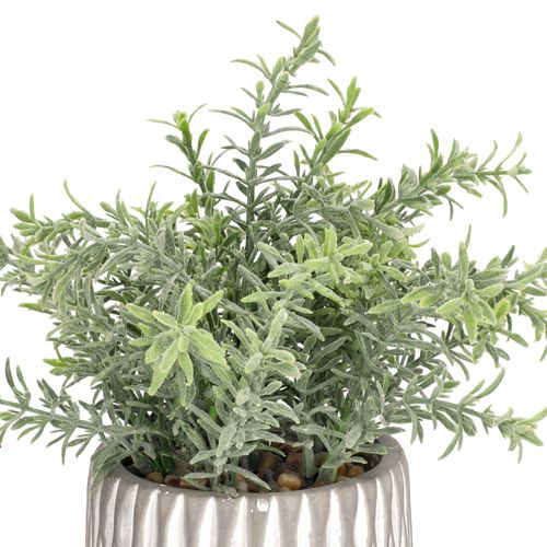 Maceta Texturada con Planta de Cerámica