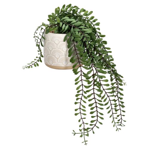 Maceta con Planta Colgante