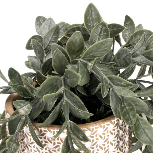 Maceta con Planta Colgante