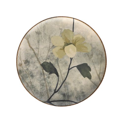 Plato Comida con Diseño Estampado