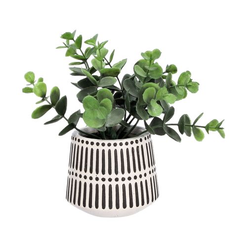 Maceta con Planta XS